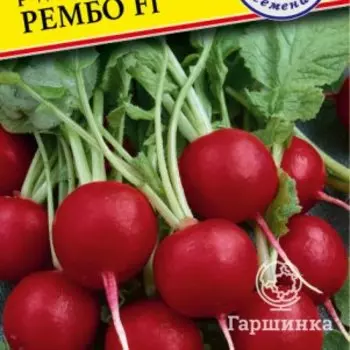 Семена Редис "Рембо" F1 1 гр, Престиж