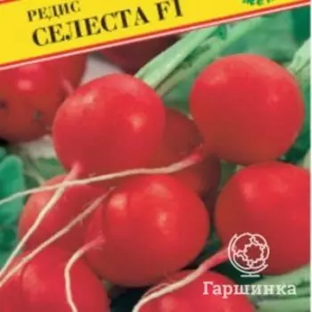 Семена Редис "Селеста" F1 1 гр, Престиж