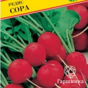 Семена Редис "Сора" 1 гр, Престиж