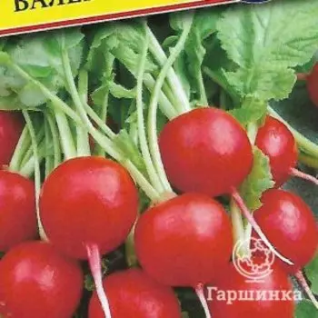 Семена Редис "Валери" F1 1 гр, Престиж