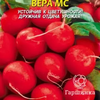 Семена Редис Вера МС 2 гр Плазменные семена