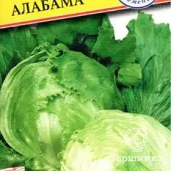 Семена Салат "Алабама" 5 др, Престиж