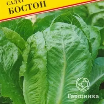 Семена Салат "Бостон" 0,5 гр, Престиж