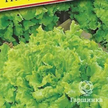 Семена Салат "Гранд Рапидс" 10 шт, Престиж
