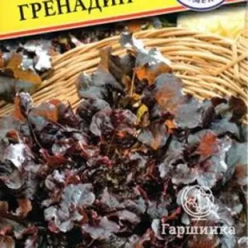 Семена Салат "Гренадин" 5 др, Престиж