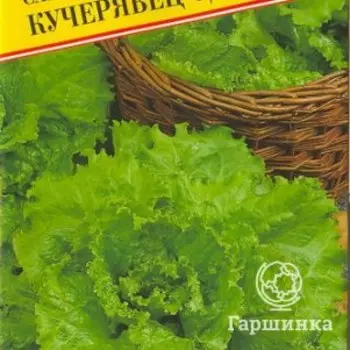 Семена Салат "Кучерявец Одесский" 0,5 гр, Престиж