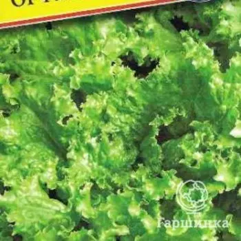 Семена Салат "Орфей" 0,5 гр, Престиж