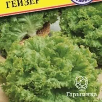 Семена салата Гейзер (РС-1), 10 шт, Престиж