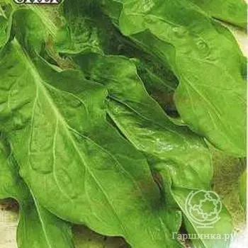 Семена Щавель Изумрудный снег Заморозь