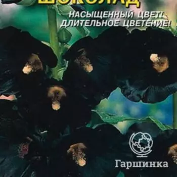 Семена Шток-роза Шоколад 10 шт Плазменные семена