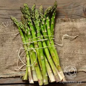 Семена Спаржа Мэри Вашингтон 0,5г