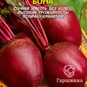 Семена Свекла Бона 2 гр Плазменные семена