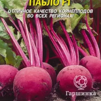 Семена Свекла Пабло F1 75 шт Плазменные семена