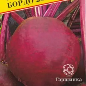 Семена Свекла ст."Бордо 237" 1 гр, Престиж