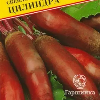 Семена Свекла ст."Цилиндра" 1 гр, Престиж