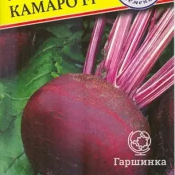 Семена Свекла ст. "Камаро" F1 1 гр, Престиж