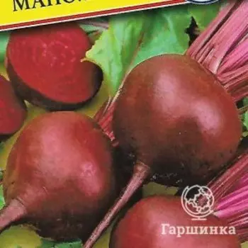 Семена Свекла ст. "Маноло" F1 1 гр, Престиж