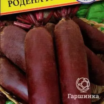 Семена Свекла ст."Родена" F1 1,гр, Престиж
