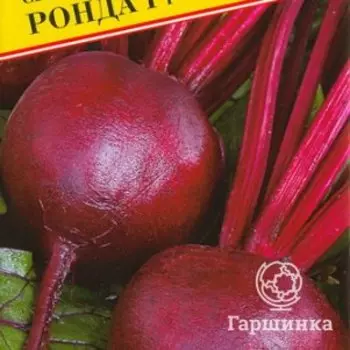 Семена Свекла ст."Ронда" F1 1 гр, Престиж