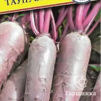 Семена Свекла ст."Таунус" F1 1 гр, Престиж