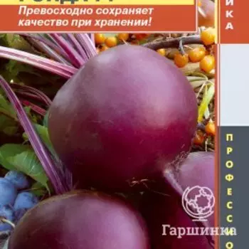 Семена Свекла столовая Ронда F1 75 шт, Плазменные семена