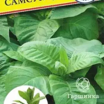 Семена Табак курительный Самсун 85 0,05 гр, Престиж