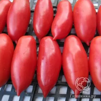 Семена Томат Алые свечи 20 шт