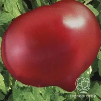 Семена Томат Бифселлер розовый F1 15 шт