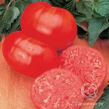 Семена Томат Бифштекс 20 шт