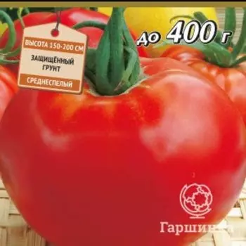 Семена Томат Бифштекс (А) 0,1, Поиск