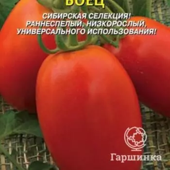 Семена Томат Боец (Буян) 20 шт Плазменные семена