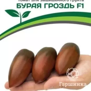 Семена Томат Бурая Гроздь F1 10 шт. Партнер
