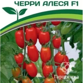 Семена Томат Черри Алеся F1 5 шт. Партнер