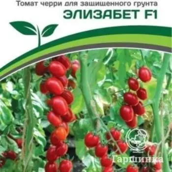 Семена Томат Черри Элизабет F1 10 шт. Партнер