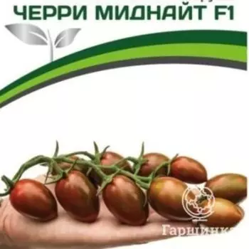 Семена Томат Черри Миднайт F1 5 шт. Партнер