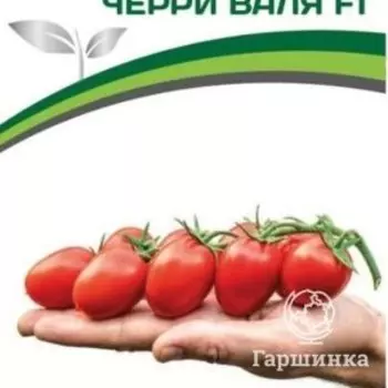 Семена Томат Черри Валя F1 5 шт. Партнер