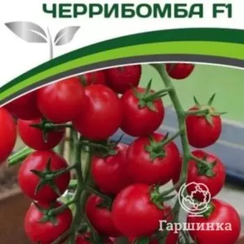 Семена Томат Черрибомба F1 5 шт. Партнер