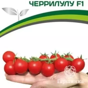 Семена Томат Черрилулу F1 5 шт. Партнер