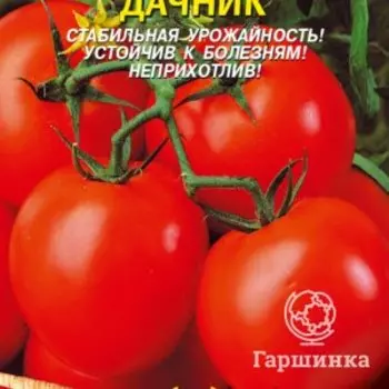 Семена Томат Дачник 0,1 гр Плазменные семена