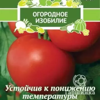 Семена Томат Дачник (А) 0,1, Поиск