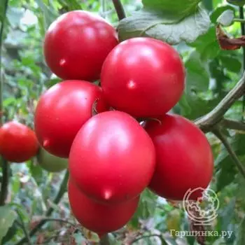 Семена Томат Де барао розовый 20шт