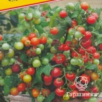 Семена Томат декоративный "Минибел" 20 шт, Престиж