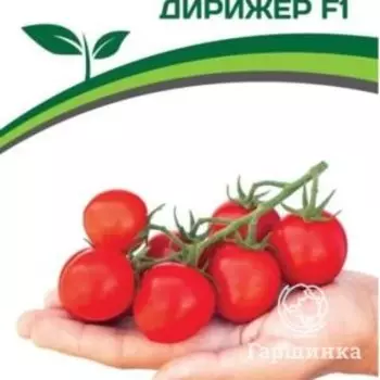 Семена Томат Дирижер F1 10 шт. Партнер