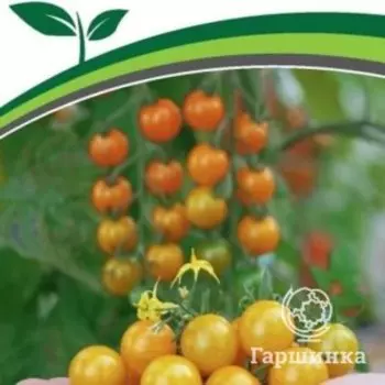 Семена Томат Дори F1 5 шт. Партнер