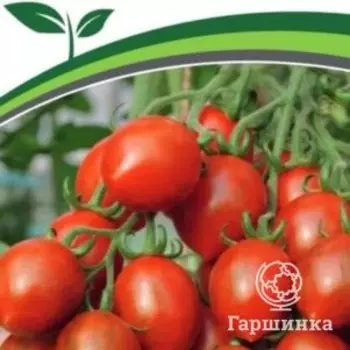 Семена Томат Джессика F1 5 шт. Партнер