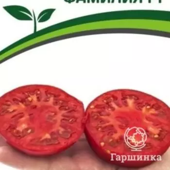 Семена Томат Фамилия F1 10 шт. Партнер