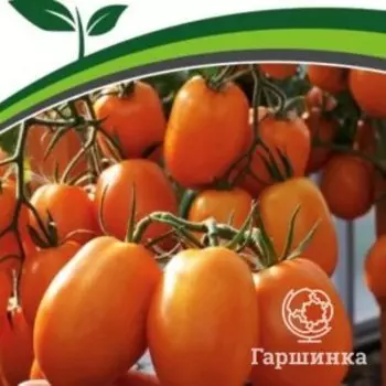 Семена Томат Фараденза F1 10 шт. Партнер