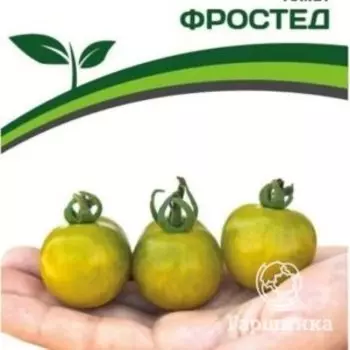 Семена Томат Фростед 0,05гр. Партнер