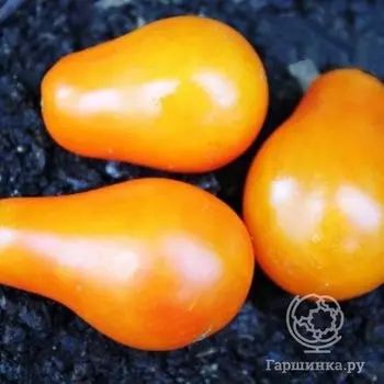 Семена Томат Груша оранжевая