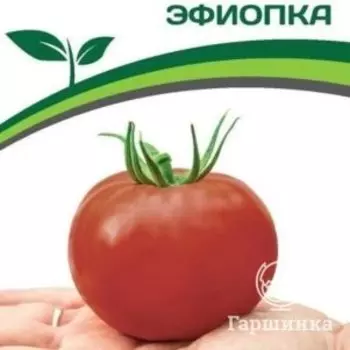 Семена Томат Эфиопка 10 шт. Партнер